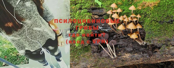 бошки Краснотурьинск
