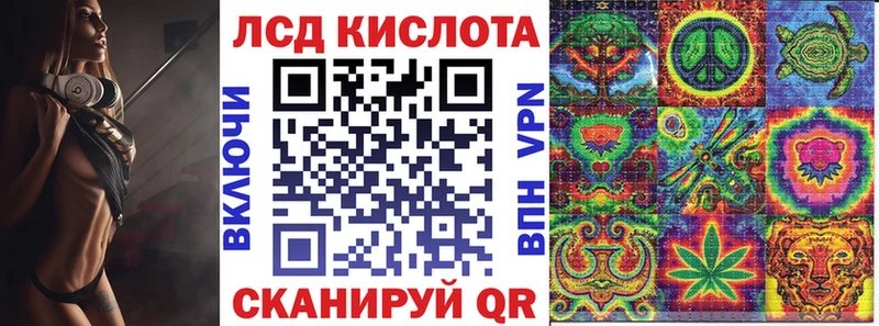 Купить закладки  Ковдор  Наркотические марки 1500мкг 