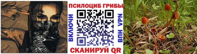 Псилоцибиновые грибы MAGIC MUSHROOMS  Купить где  Ковдор 